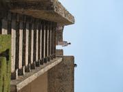 Img 5073