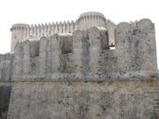 Img 5078