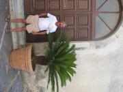 Img 5092