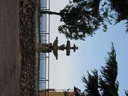 Img 5132