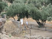 Img 5160