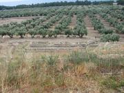 Img 5161