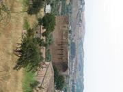 Img 5164