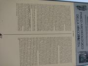 Img 5169