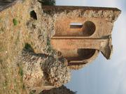 Img 5171