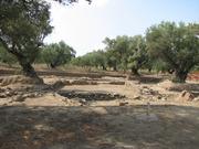 Img 5174