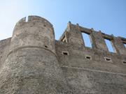 Img 5181