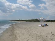 Img 5186