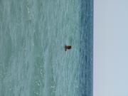 Img 5188