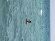 Img 5190