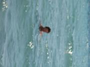 Img 5191