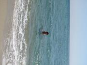 Img 5192