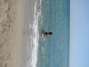 Img 5193