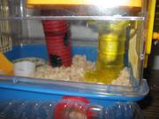 Img 3925