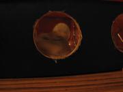Img 3933