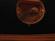 Img 3934