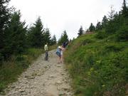 Img 4604