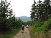 Img 4606