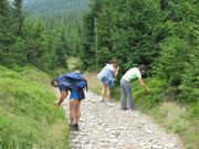 Img 4608