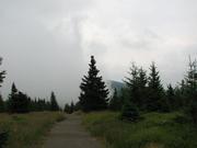 Img 4609