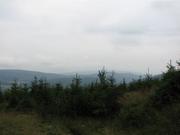 Img 4613