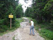 Img 4614