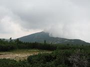 Img 4615