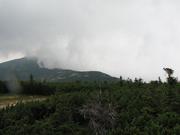 Img 4616