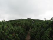 Img 4624