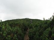 Img 4625