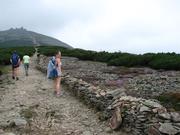 Img 4630