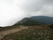 Img 4631