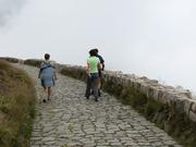 Img 4633