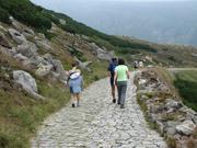 Img 4635