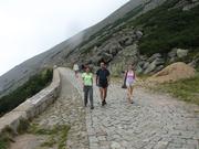 Img 4636