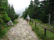 Img 4639