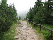 Img 4640