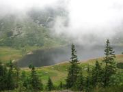 Img 4644