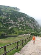 Img 4647