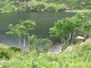 Img 4648