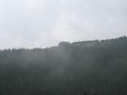 Img 4652