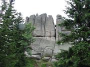 Img 4654