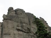 Img 4659