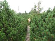 Img 4661