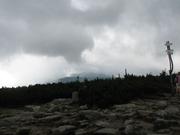 Img 4664