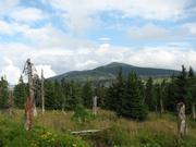 Img 4673