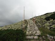 Img 4681