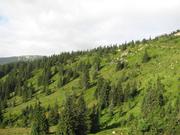 Img 4691