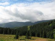 Img 4696