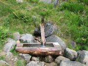Img 4697